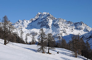 Bildvergleich Jahreszeiten Winter