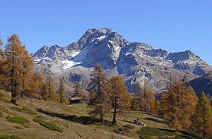 Bildvergleich Jahreszeiten: Herbst
