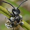 BILDARCH 5: (Digitale) Fotos und Dias effizient organisieren und finden.